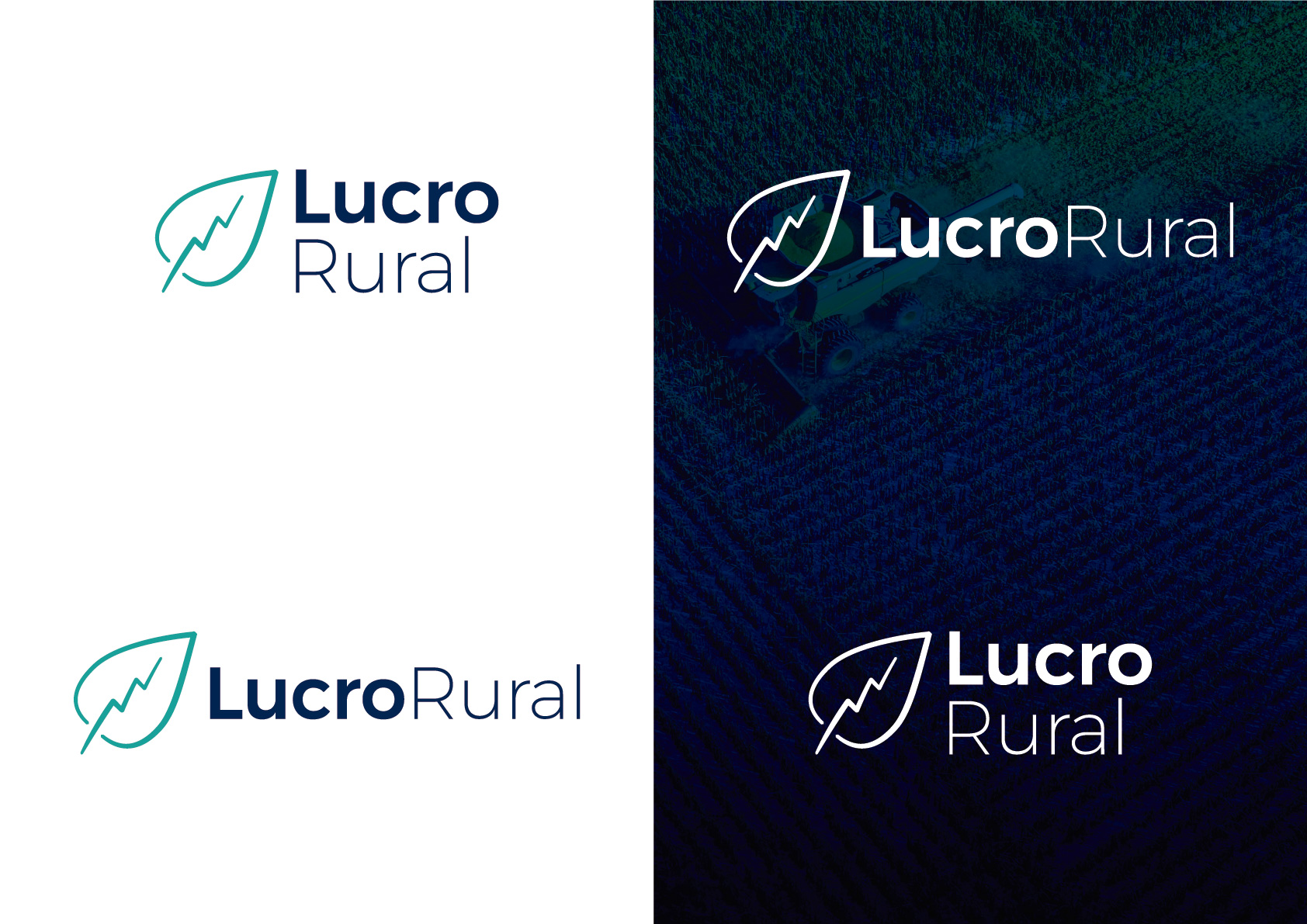 Criação do logo da Lucro Rural, por Cristiano Valim